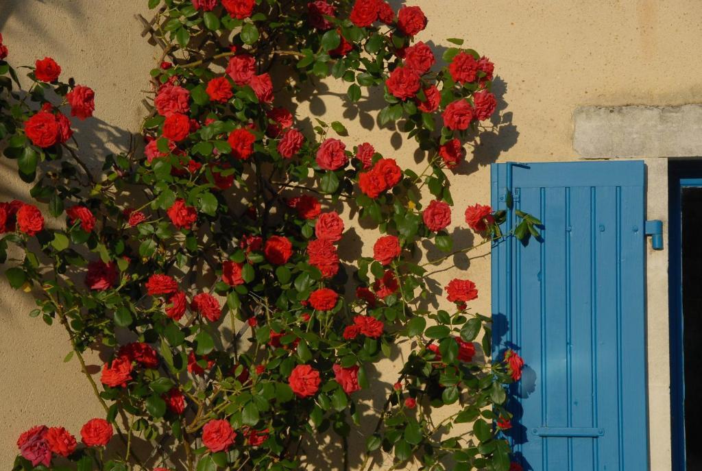 Bed and Breakfast Le Parfum Bleu Chantemerle-lès-Grignan Exterior foto